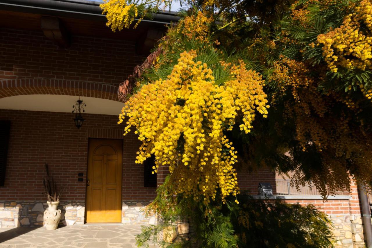 Villa Anna Moncalieri Exterior photo